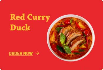 Red Curry Duck