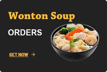 Wonton Soup